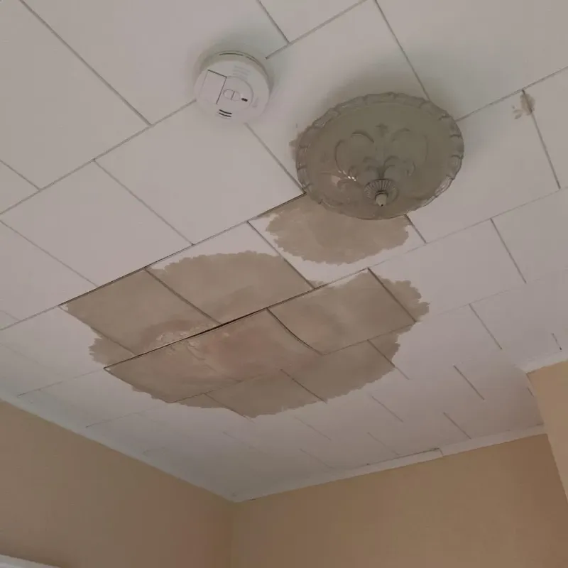 Ceiling Water Damage Repair in Beaver, PA
