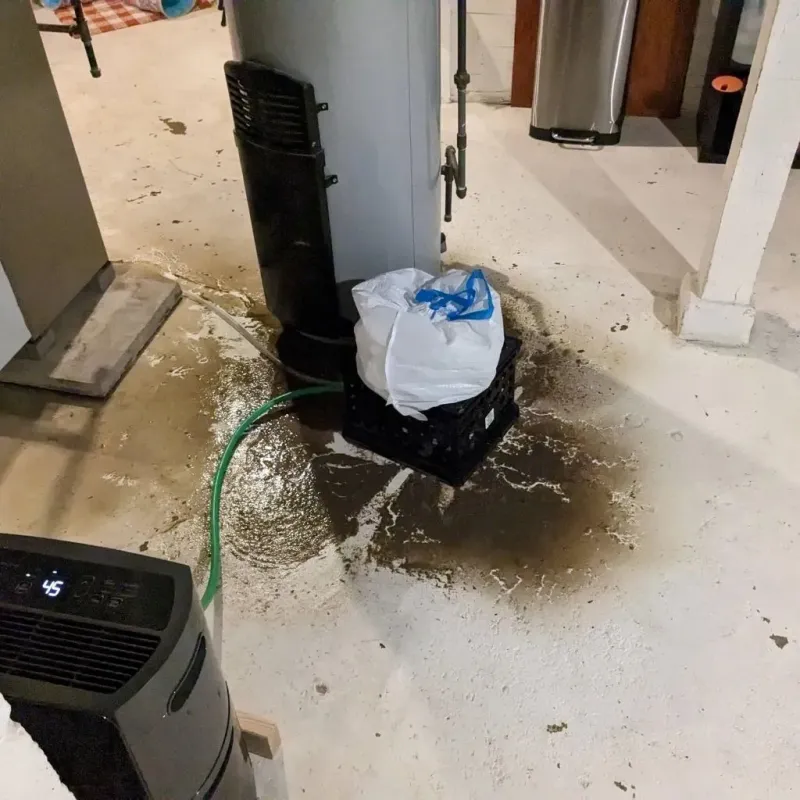 Sewage Backup Cleanup Service in Beaver, PA
